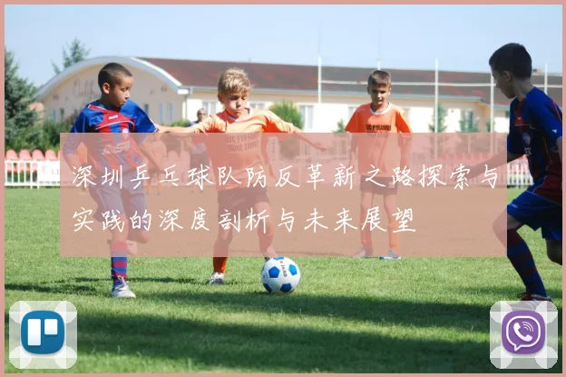 深圳乒乓球队防反革新之路探索与实践的深度剖析与未来展望