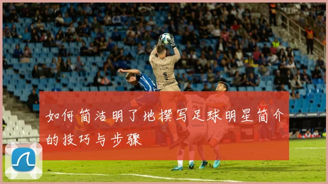 如何简洁明了地撰写足球明星简介的技巧与步骤