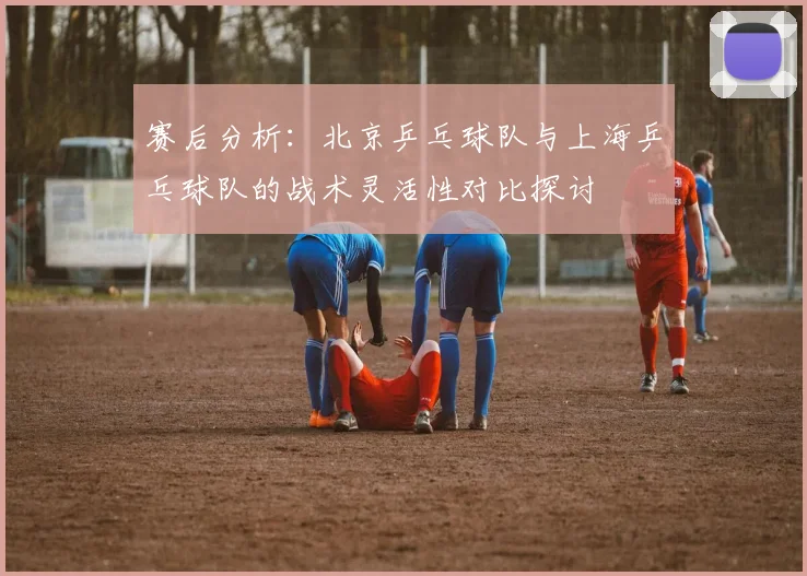 赛后分析：北京乒乓球队与上海乒乓球队的战术灵活性对比探讨