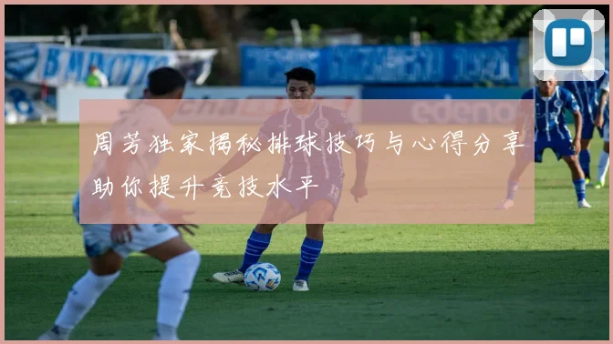 周芳独家揭秘排球技巧与心得分享助你提升竞技水平