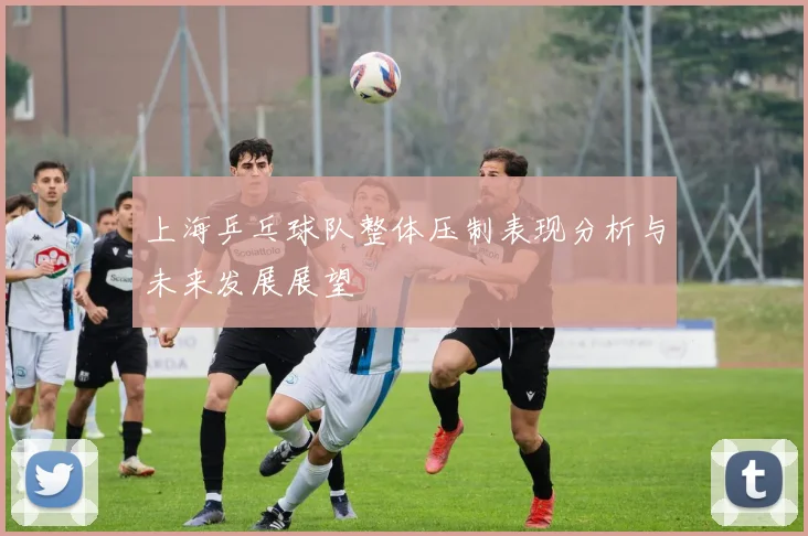 上海乒乓球队整体压制表现分析与未来发展展望
