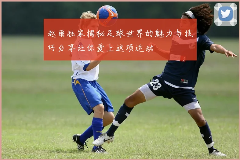 赵丽独家揭秘足球世界的魅力与技巧分享让你爱上这项运动