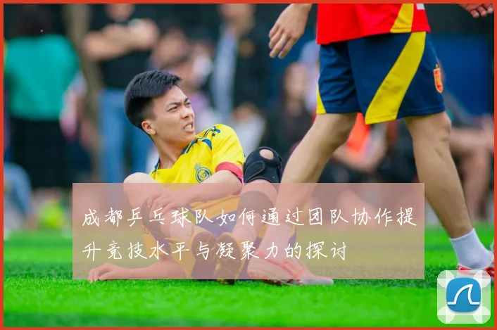 成都乒乓球队如何通过团队协作提升竞技水平与凝聚力的探讨