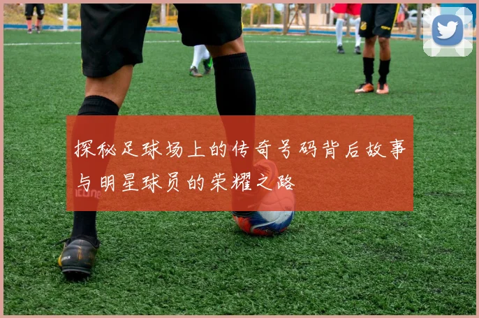 探秘足球场上的传奇号码背后故事与明星球员的荣耀之路