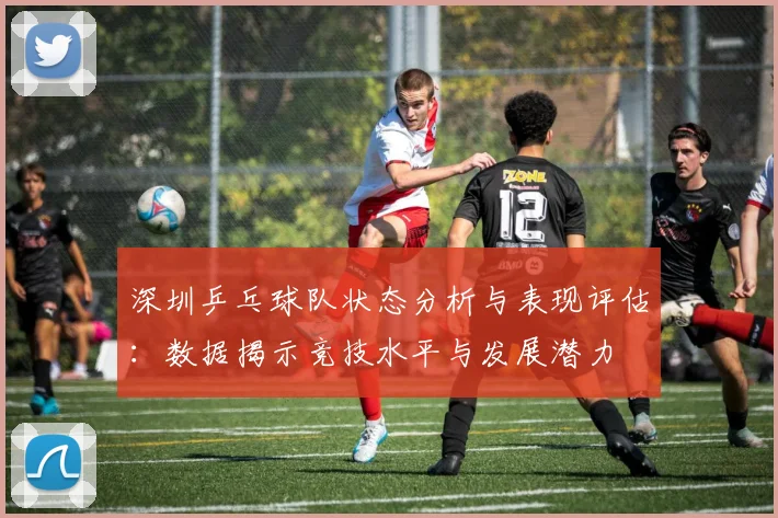 深圳乒乓球队状态分析与表现评估：数据揭示竞技水平与发展潜力
