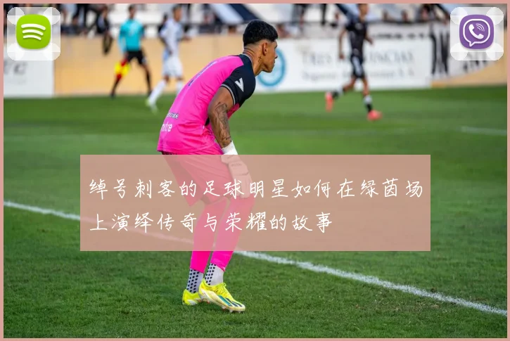 绰号刺客的足球明星如何在绿茵场上演绎传奇与荣耀的故事