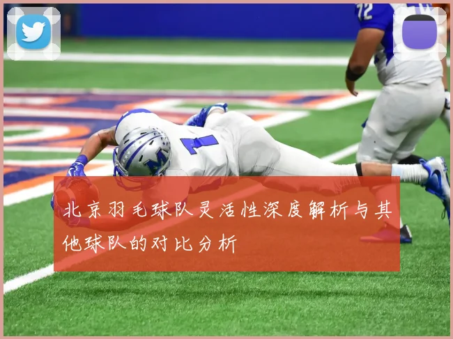 北京羽毛球队灵活性深度解析与其他球队的对比分析