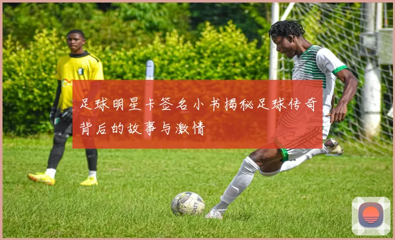 足球明星卡签名小书揭秘足球传奇背后的故事与激情