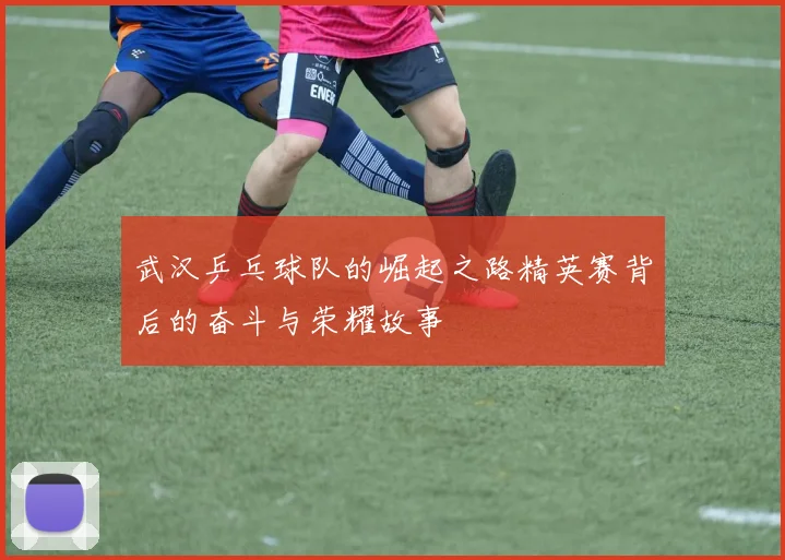 武汉乒乓球队的崛起之路精英赛背后的奋斗与荣耀故事