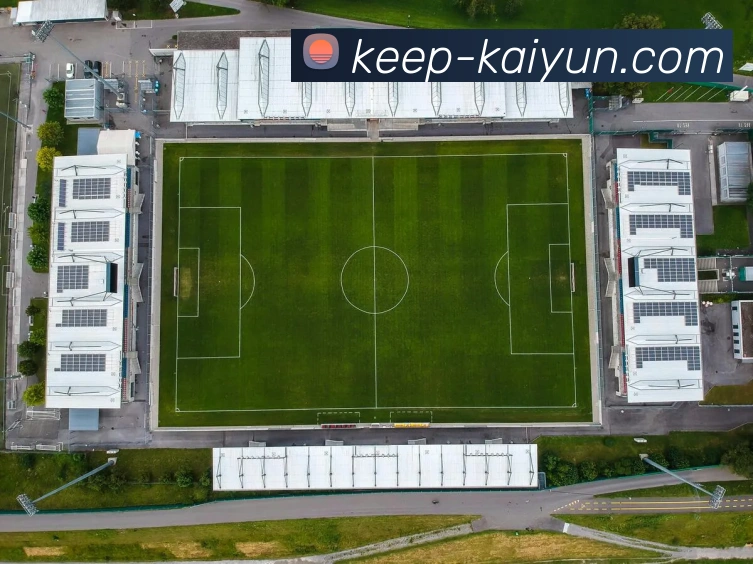 开云APP 高清赛事图